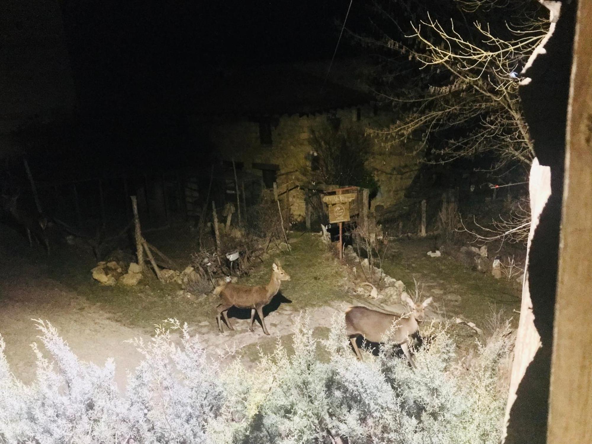 Casas Rurales Chon Alto Tajo Пералехос де лас Тручас Екстериор снимка